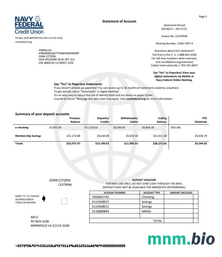 US Navy Federal Credit Union szablon w formacie excel pdf